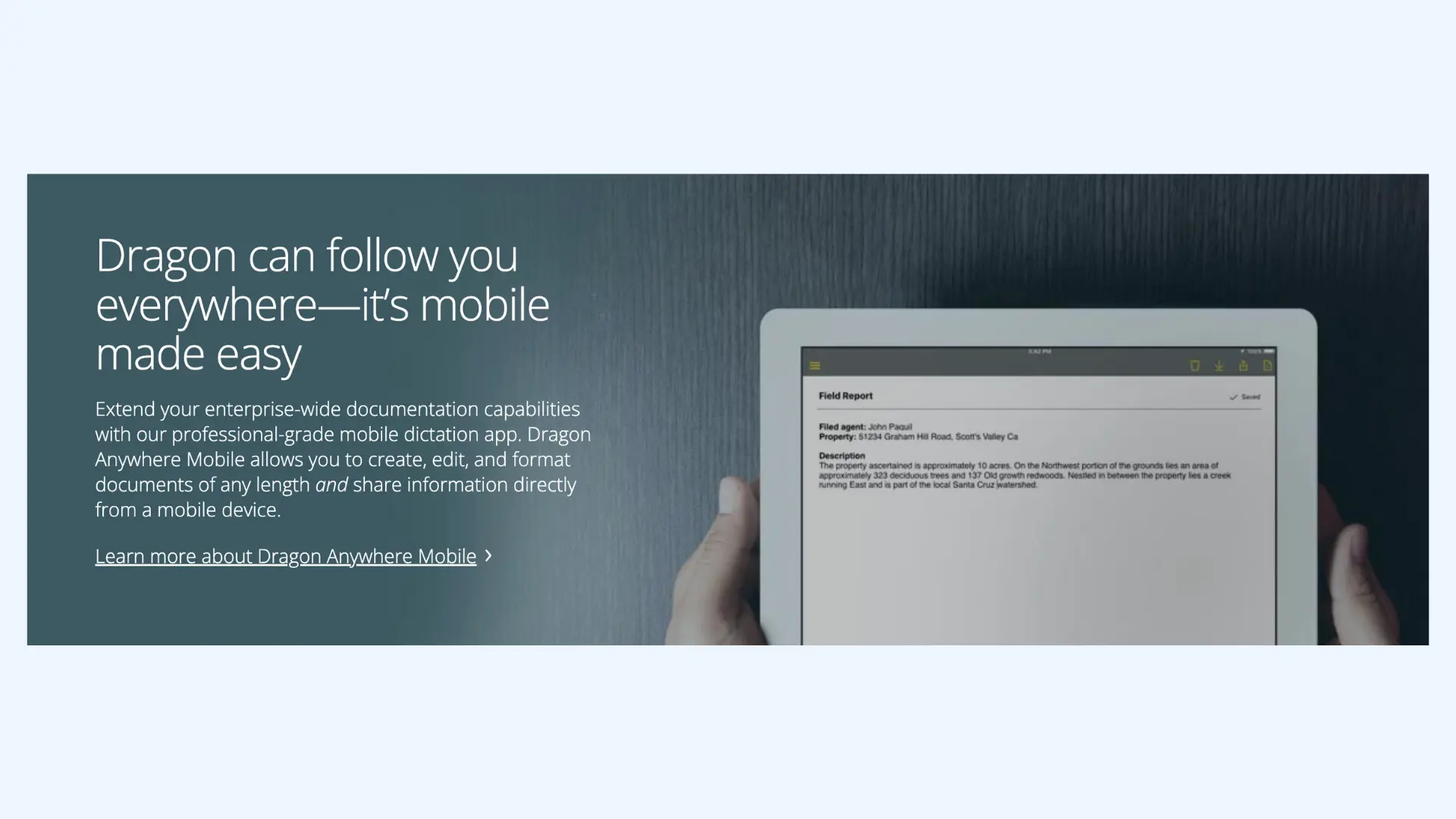 The web page of Dragon Professional.